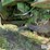 1964-john-deere-4020-image-18