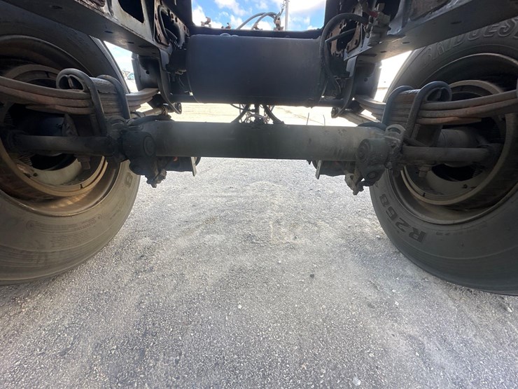 2017-great-dane-dolly-image-4