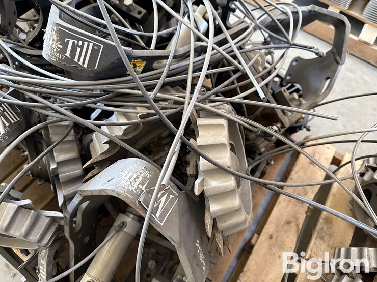 martin-row-cleaners-clean-sweep-image-12