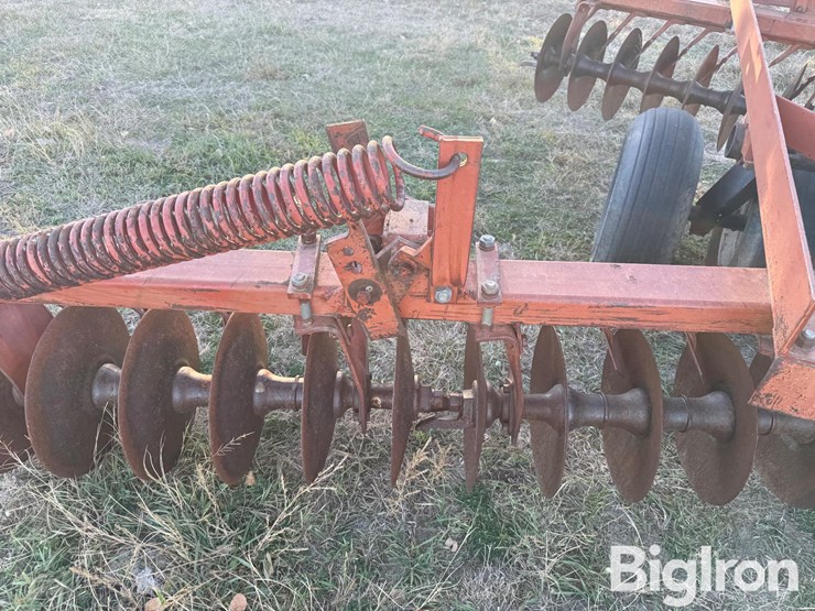 international-475-image-11