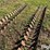 grouser-skid-steer-tracks-image-12