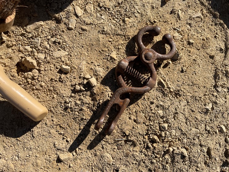 #5954-•-misc.-horse-related-items-image-12