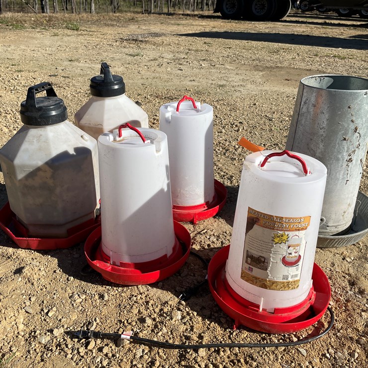 #5955 • Poultry Waterers and (1) Feeder