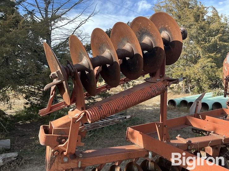 international-475-image-18