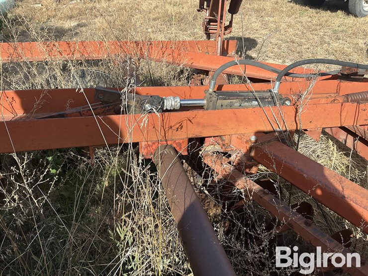 international-475-image-16