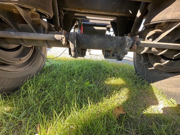 great-dane-dolly-image-3