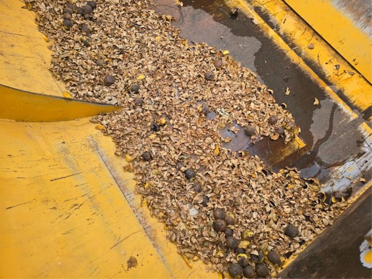 ashland-i-950-image-23