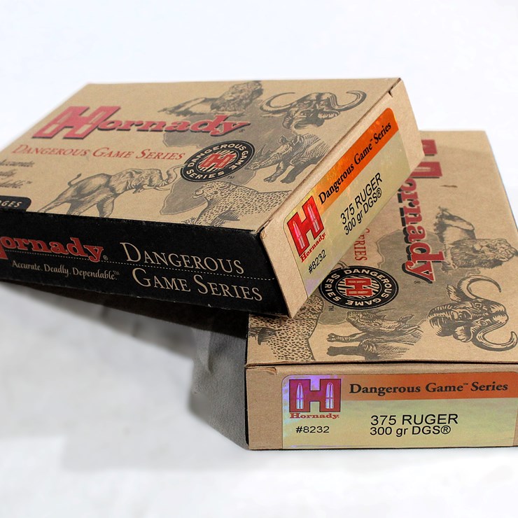 #513 • (2) HORNADAY 375 RUGER 300 GR DGS