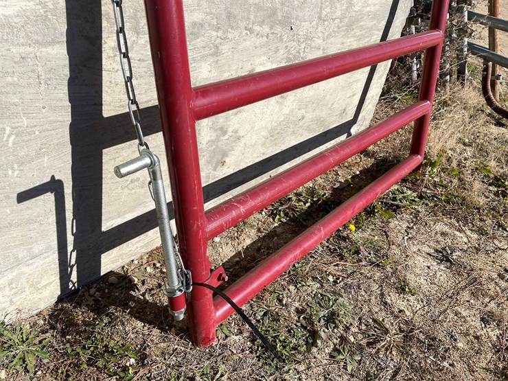 #5956-•-tarter-46"-walk-through-gate-image-5