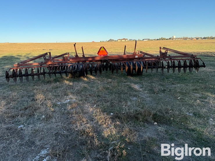 international-475-image-6