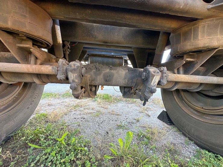 great-dane-dolly-image-3