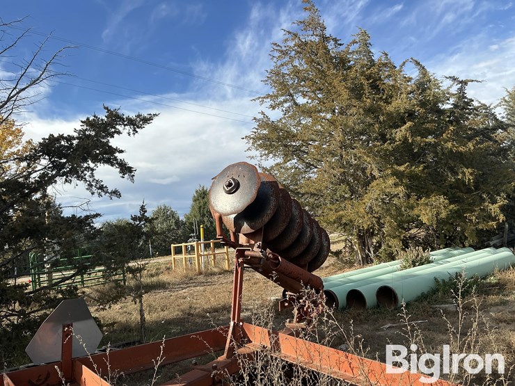 international-475-image-20