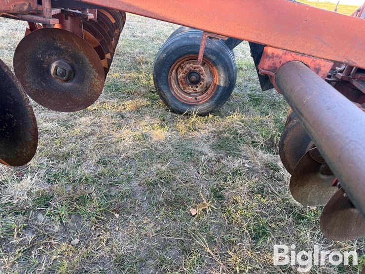 international-475-image-10