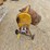 #3610-•-110-volt-concrete-mixer-image-3