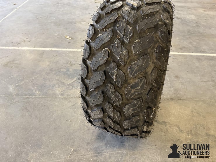 firestone-tire-&-rim-image-3