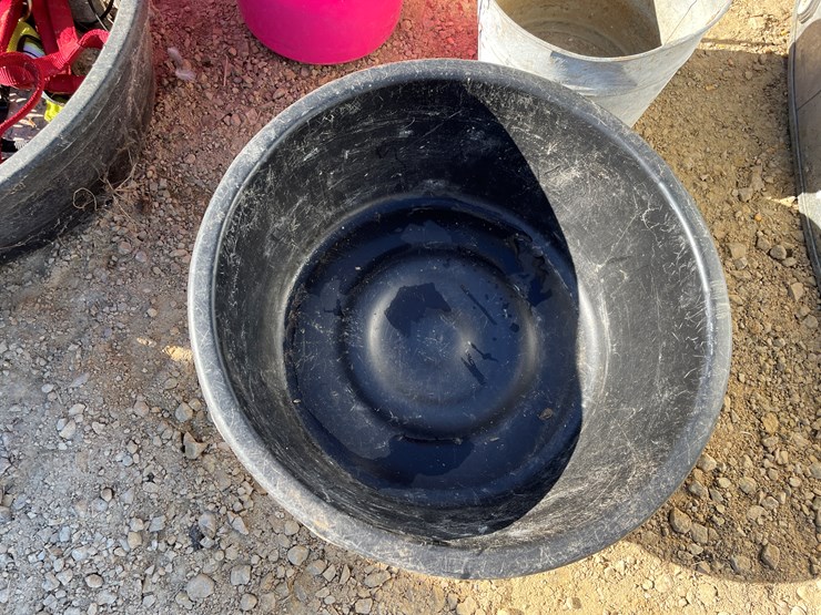 #5954-•-misc.-horse-related-items-image-8