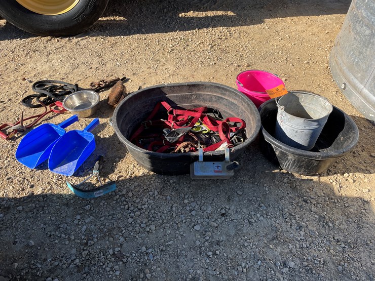 #5954-•-misc.-horse-related-items-image-1