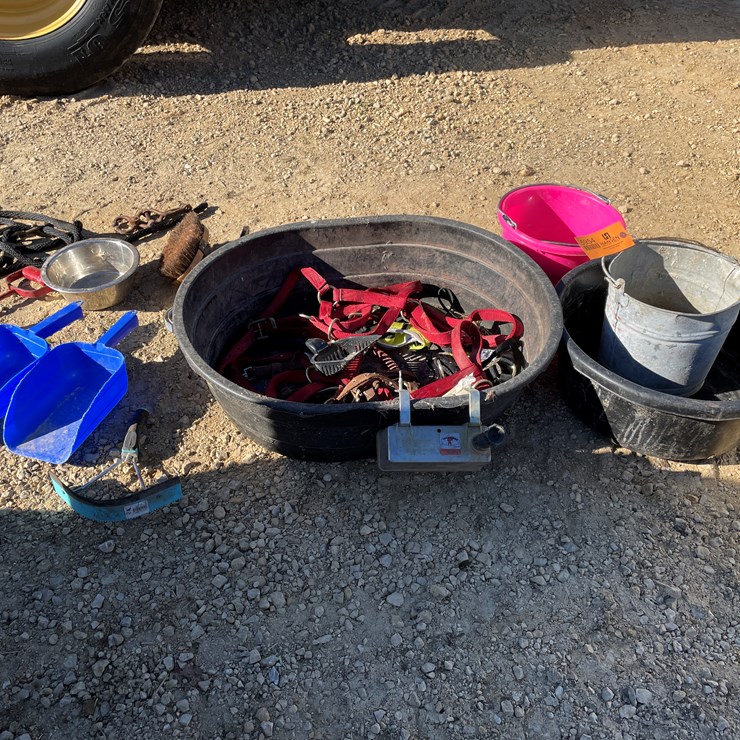 #5954 • Misc. Horse Related Items