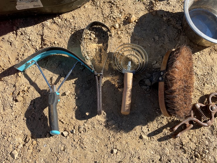 #5954-•-misc.-horse-related-items-image-11