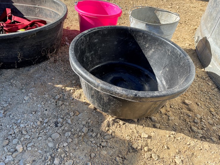 #5954-•-misc.-horse-related-items-image-7