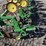 john-deere-825-image-11