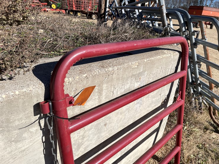 #5956-•-tarter-46"-walk-through-gate-image-3