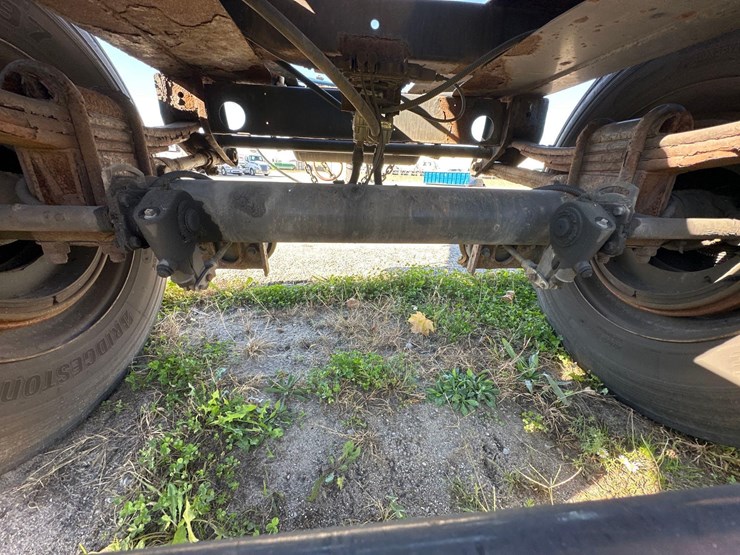 2015-great-dane-dolly-image-4