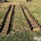 grouser-skid-steer-tracks-image-2