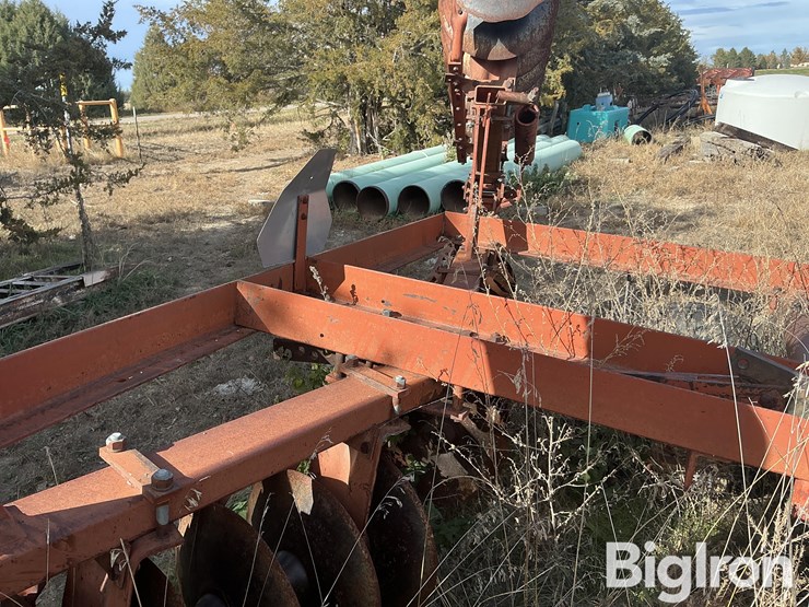 international-475-image-17