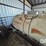double-nh3-nurse-tanks-(gp11739,-tank-1)-image-7
