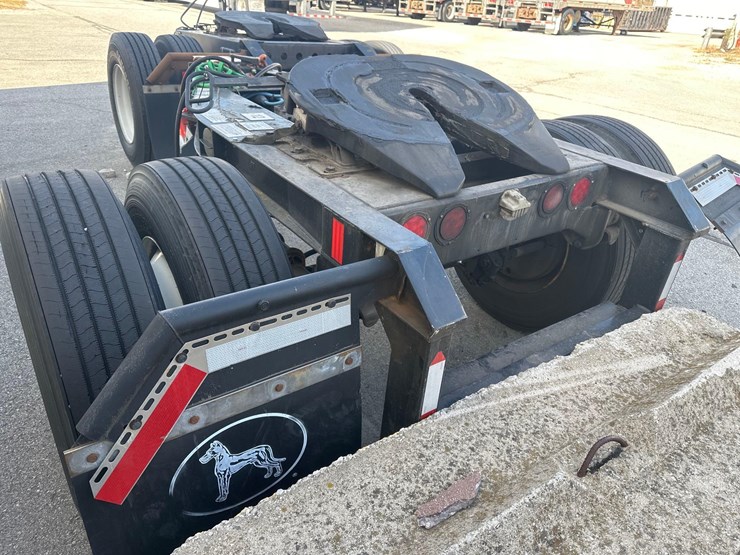 2015-great-dane-dolly-image-3