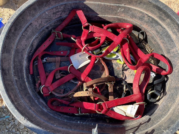 #5954-•-misc.-horse-related-items-image-9