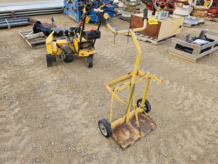 #3151-•-torch-cart-image-4