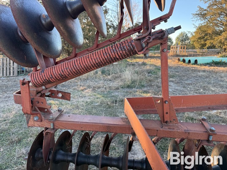 international-475-image-15