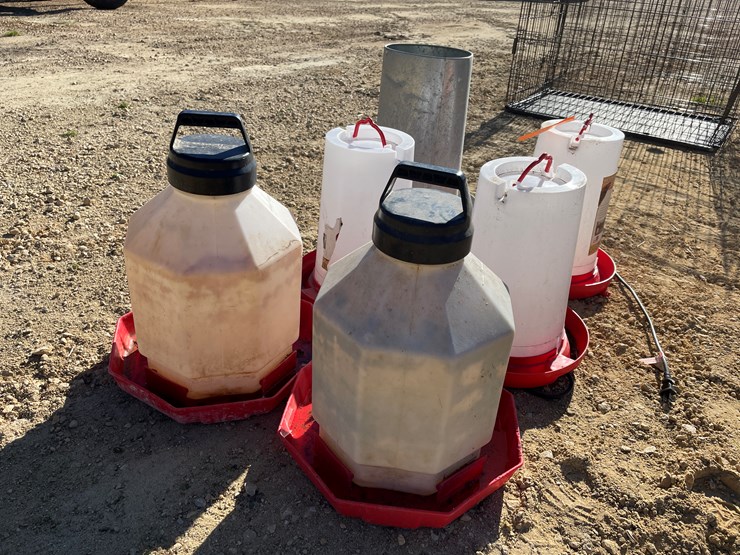 #5955-•-poultry-waterers-and-(1)-feeder-image-3