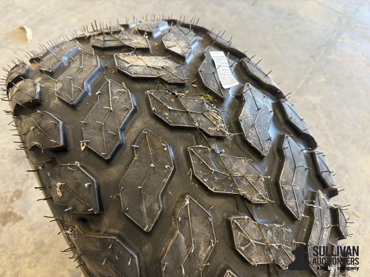 firestone-tire-&-rim-image-14