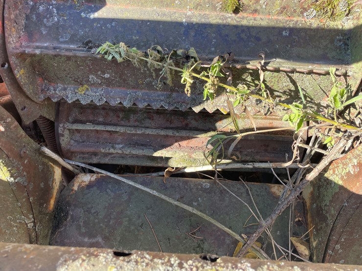 #5920-•-heston-chopper-with-hay-head-image-29