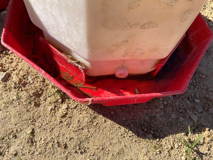 #5955-•-poultry-waterers-and-(1)-feeder-image-12