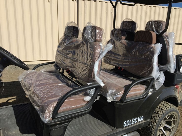 unused-2025-sd-lanch-sdlgc100-6-passenger-golf-image-6