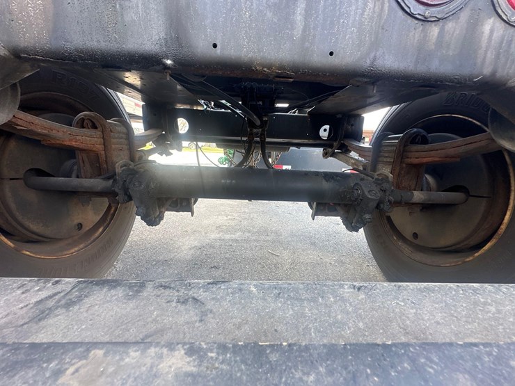 2015-great-dane-dolly-image-4