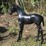 #5589-•-horse-statue-image-1
