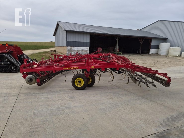 sunflower-6433-40-image-17