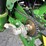 2018-john-deere-1795-image-36