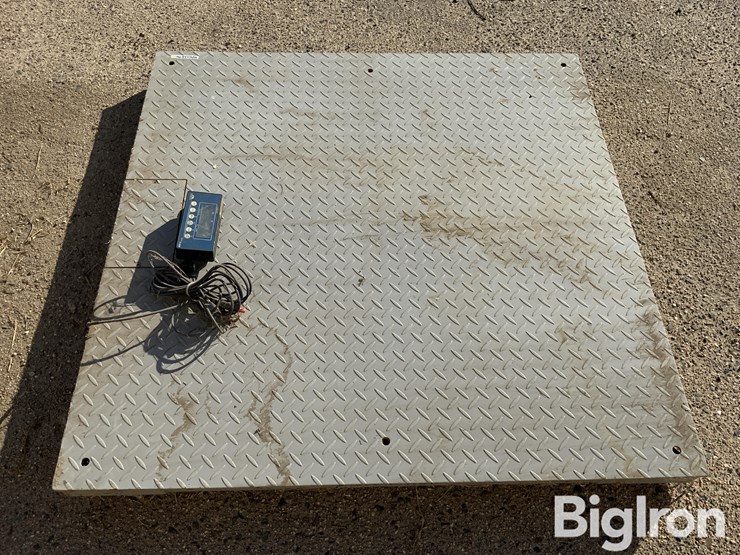 pallet-scale-image-11