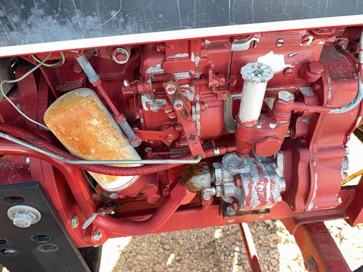 international-284-image-19