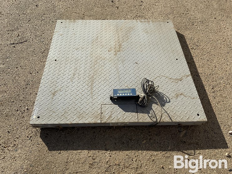 pallet-scale-image-8