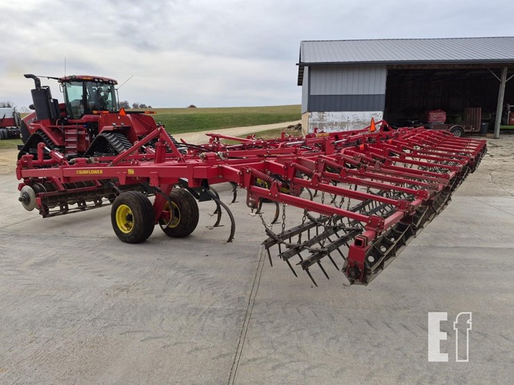 sunflower-6433-40-image-16