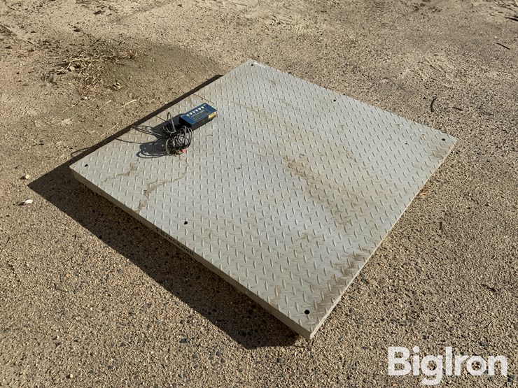 pallet-scale-image-5