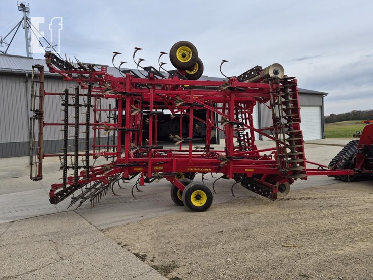 sunflower-6433-40-image-9