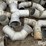 irrigation-pipe-fittings-image-17
